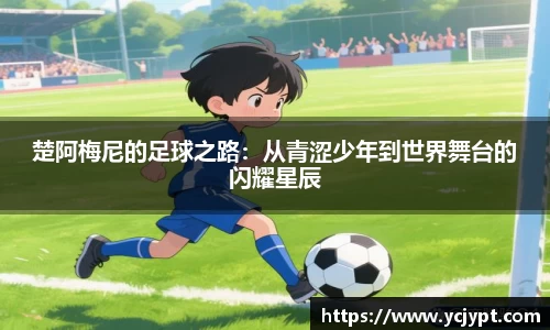 龙8国际